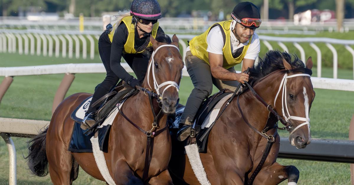 Renegade sharp for Travers, but needs a rider
