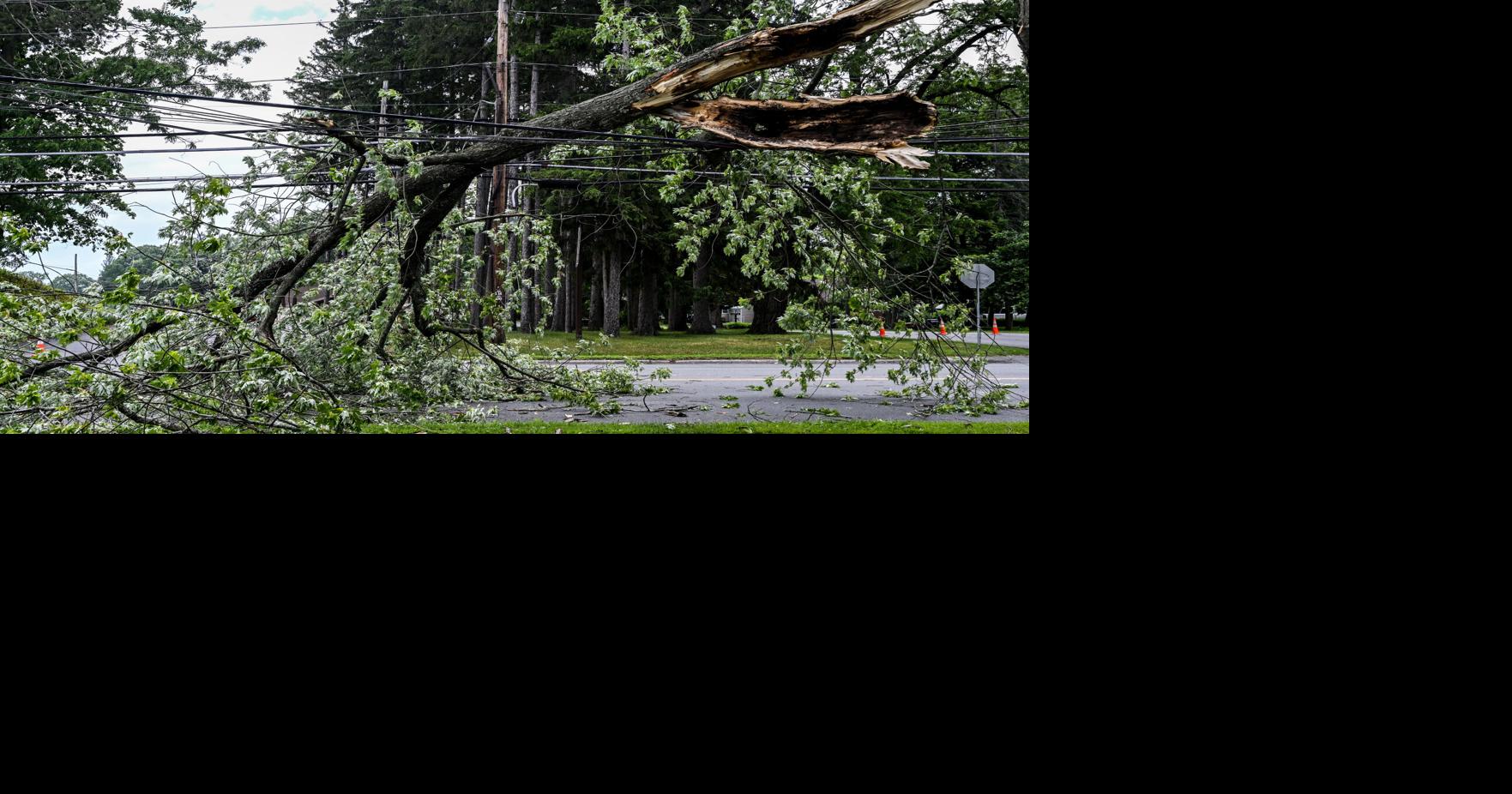 Photos: High winds tear down trees in Schenectady County