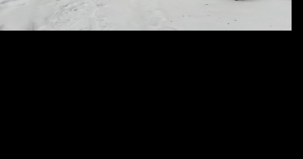 Snowshoeing the Red Dot Trail | Columns | dailygazette.com