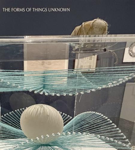 Tom Tang Fall 2026 Opening Reception at Tang Teaching Museum | Life & Arts ...