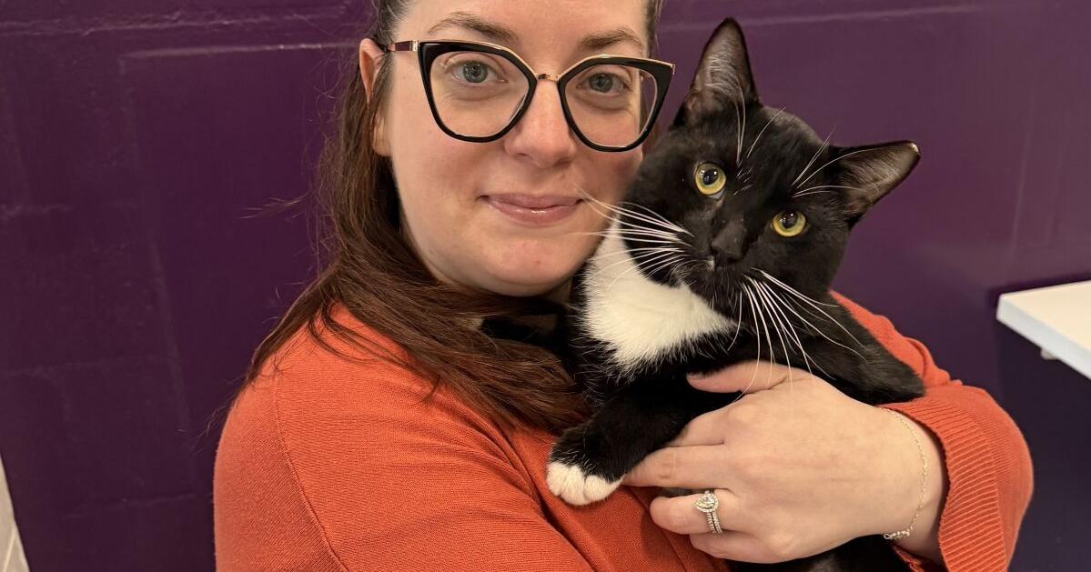 Animal Chronicles: Animal support comes in many ways