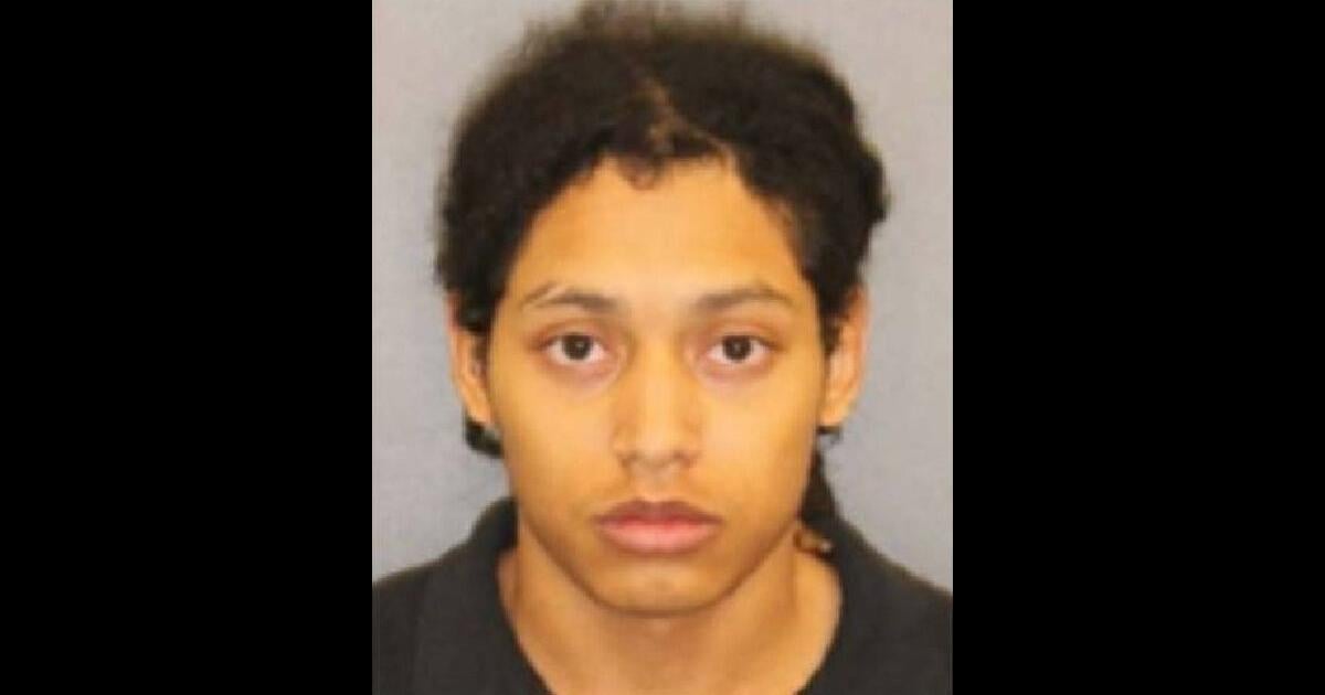 Clifton Park man, 19, sentenced to 15-life for murder | Police, Fire ...