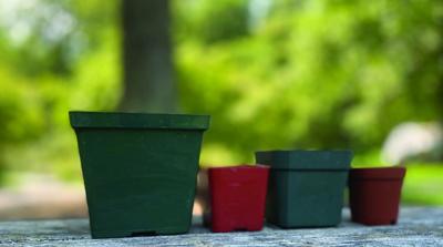 Be a Better Gardener: The environmental cost of plastic nursery pots