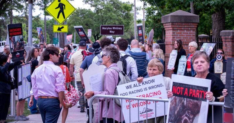 Horseracing Wrongs protests Saratoga Belmont Stakes Day | News - Vimarsana News