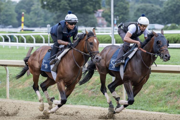 Whitney winner Sierra Leone gets back on work tab | Horse Racing ...