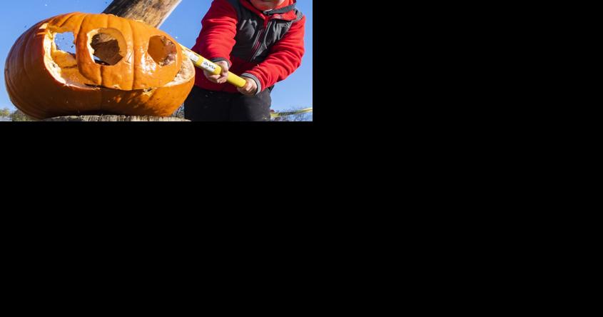 Don't trash it, smash it: Pumpkin composting events popping up in the Capital Region - Vimarsana News