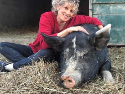 Animal passions: Woman’s love drives sanctuary