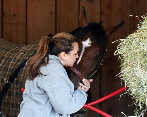 Golden Tempo's Preakness possibilities, under consideration | Horse Racing  | dailygazette.com