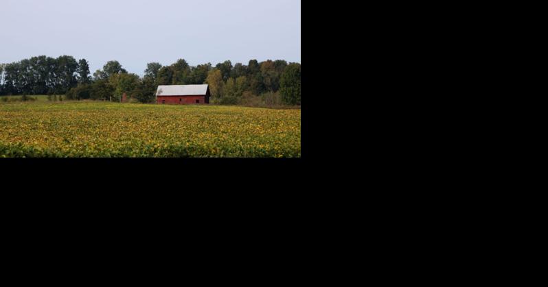 Fulton County moving forward with first ag plan since 2002 - Vimarsana News