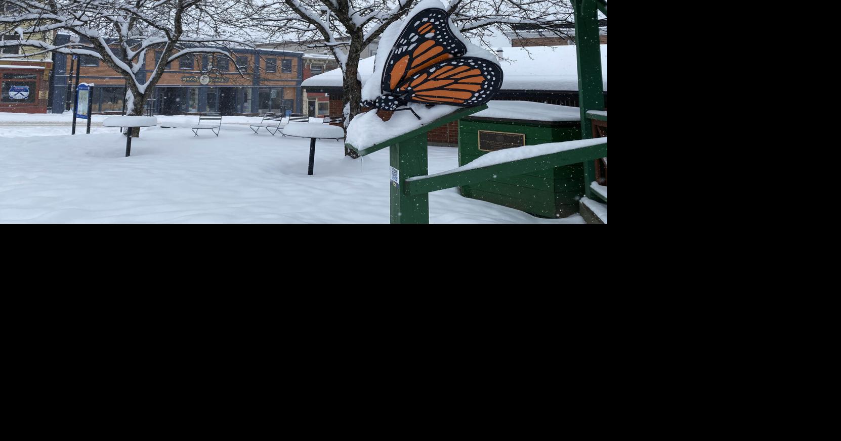 Storms dump snow on both US coasts | Local News | dailygazette.com