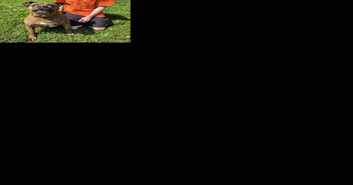 Soft Paws: The prey drive