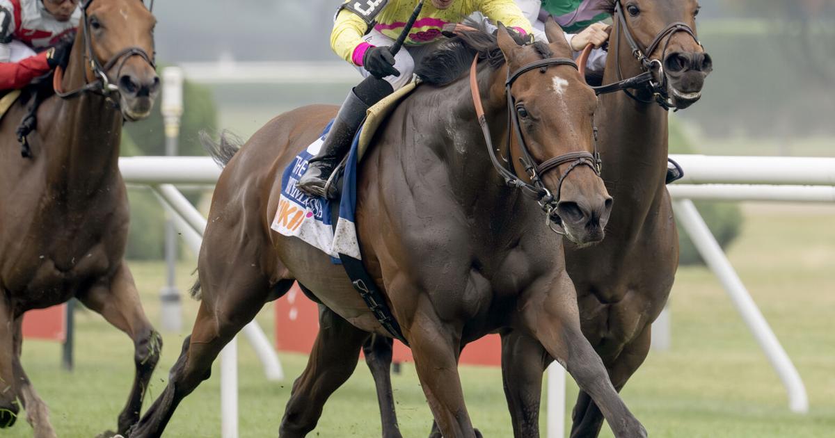 A look at the Grade I Diana Stakes