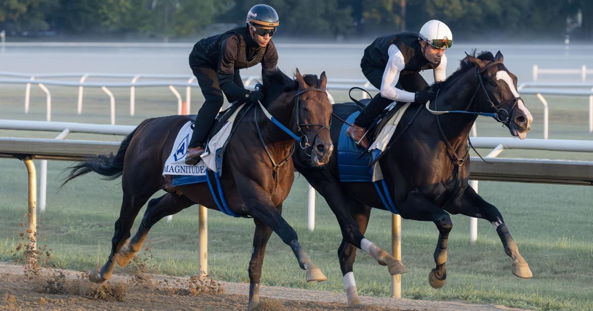 Magnitude leads Whitney field full of star power