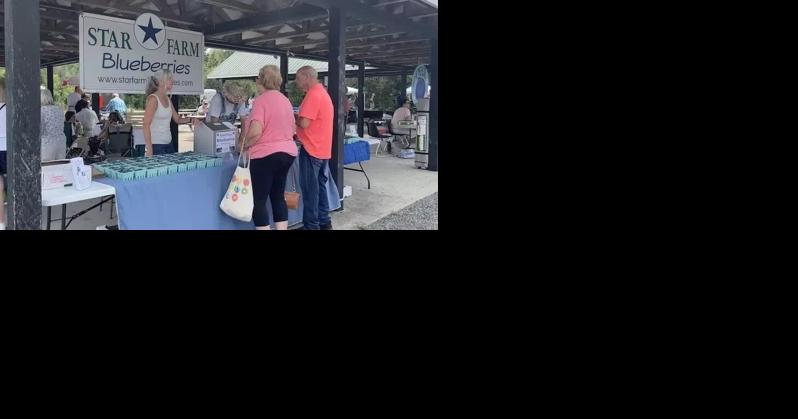 Galway blueberry farm for sale, building answers sought | News - Vimarsana News