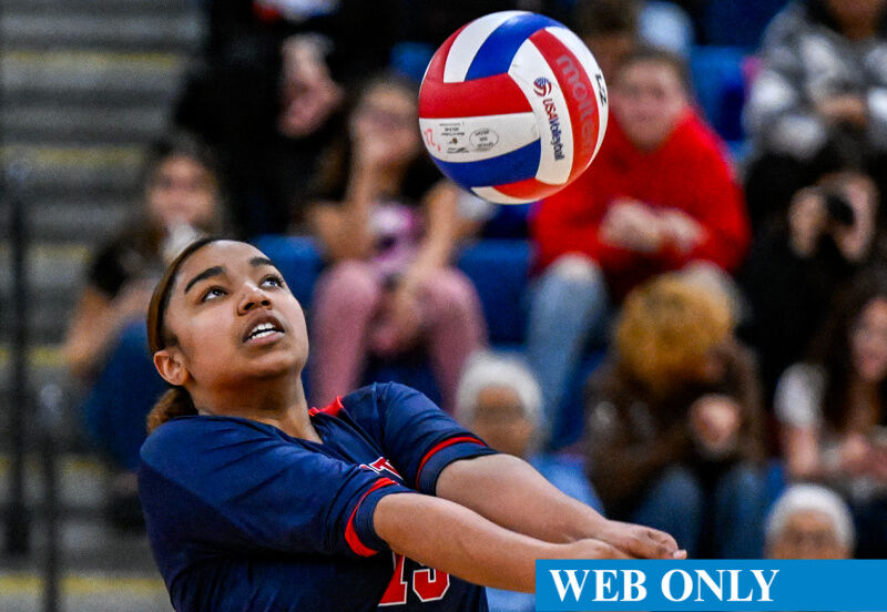 Volleyball web deals