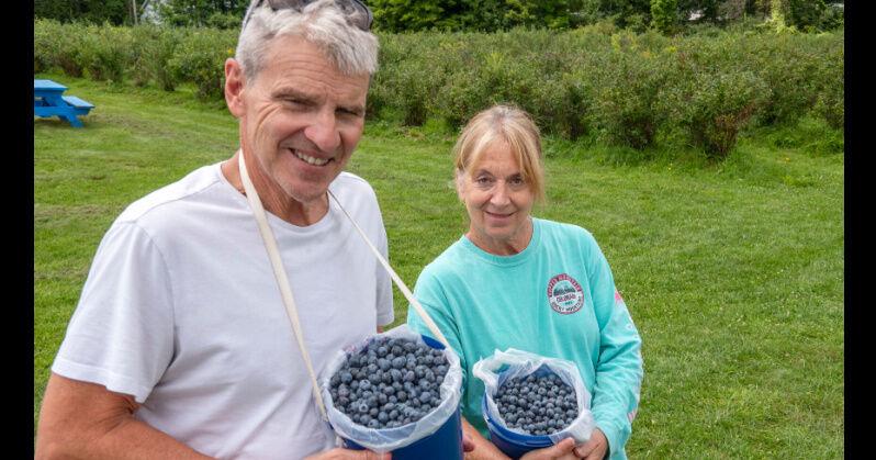 Broadalbin's Out of the Blue Berry Farm keeps growing | Leader Herald ...