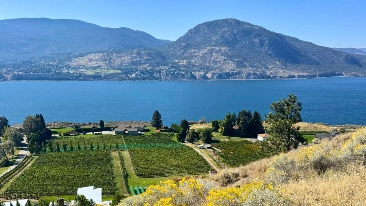 Canadas Okanagan Valley Is the Wine Region You Need on Your Radar