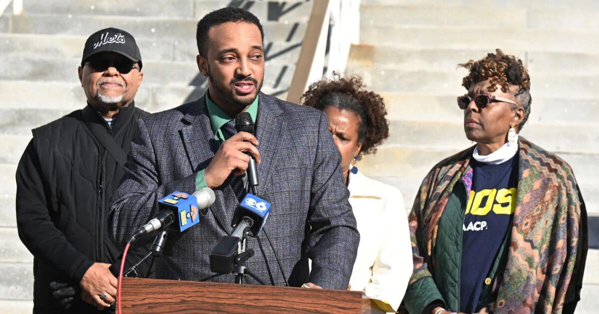 Schenectady City Council appointment still blocked in suit | Courts