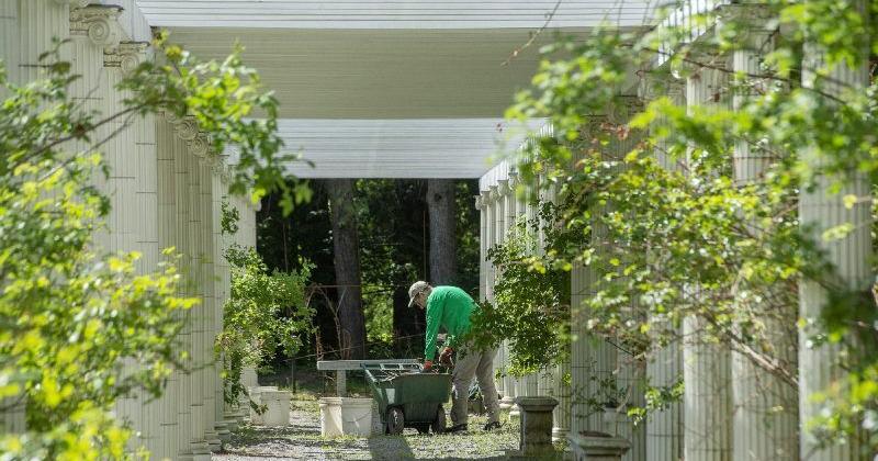 Saratoga Springs' Yaddo Gardens reopen for the season - Vimarsana News