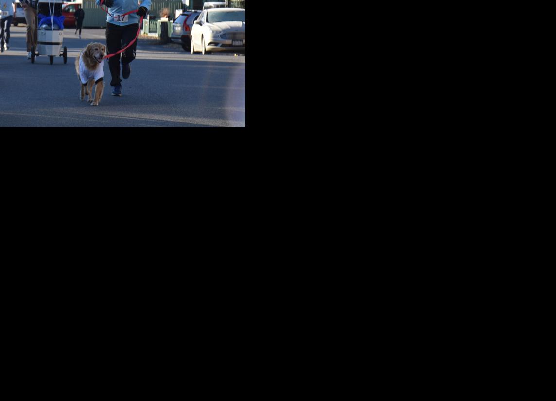 Second annual Howl-O-Ween 5K Fun Run draws nearly 50 | Adirondack Daily ...