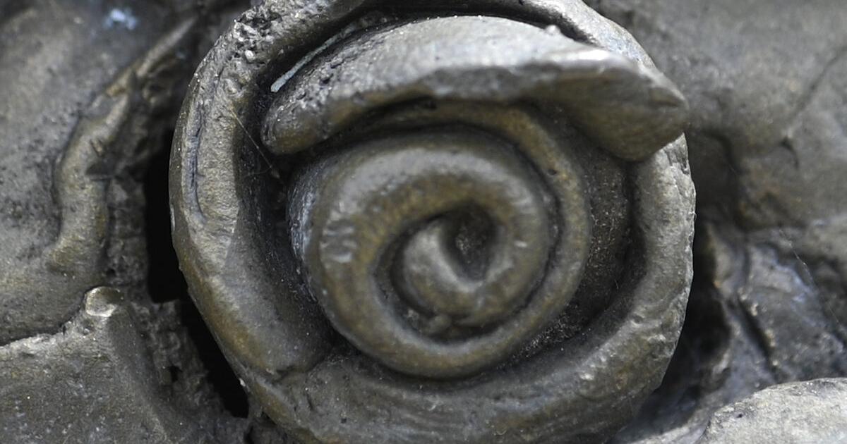 Up-close photos May 22 - Vimarsana News