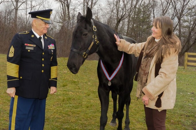 Equine hero Sergeant York to receive high honor