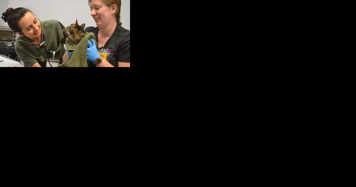 Community clinics help pets in need -- Animal Chronicles