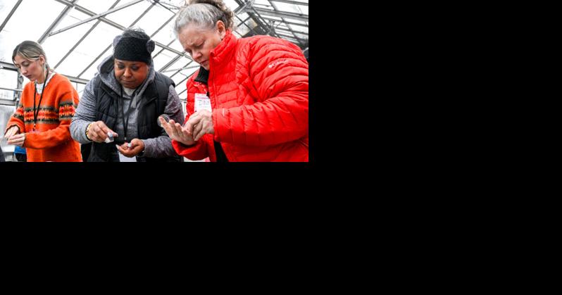 Schenectady Seed to Supper program fighting food insecurity - Vimarsana News