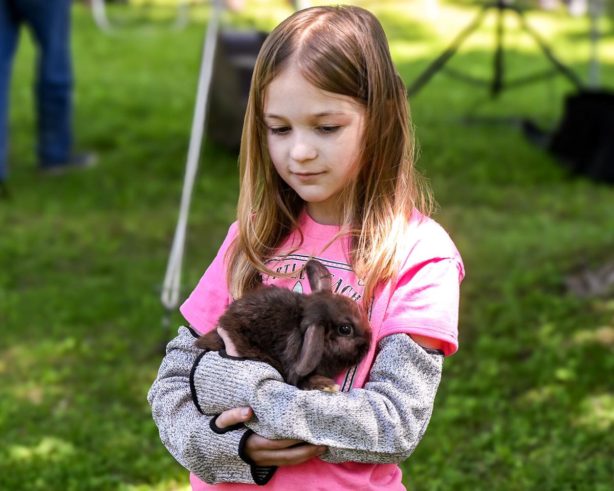 Photos Strawberry Festival in Mayfield Leader Herald News