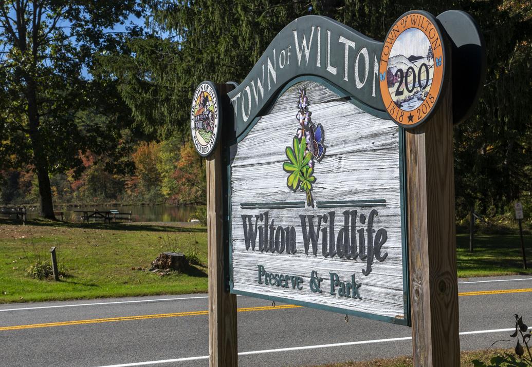 Photos Cornell Hill Fire Tower, Wilton News