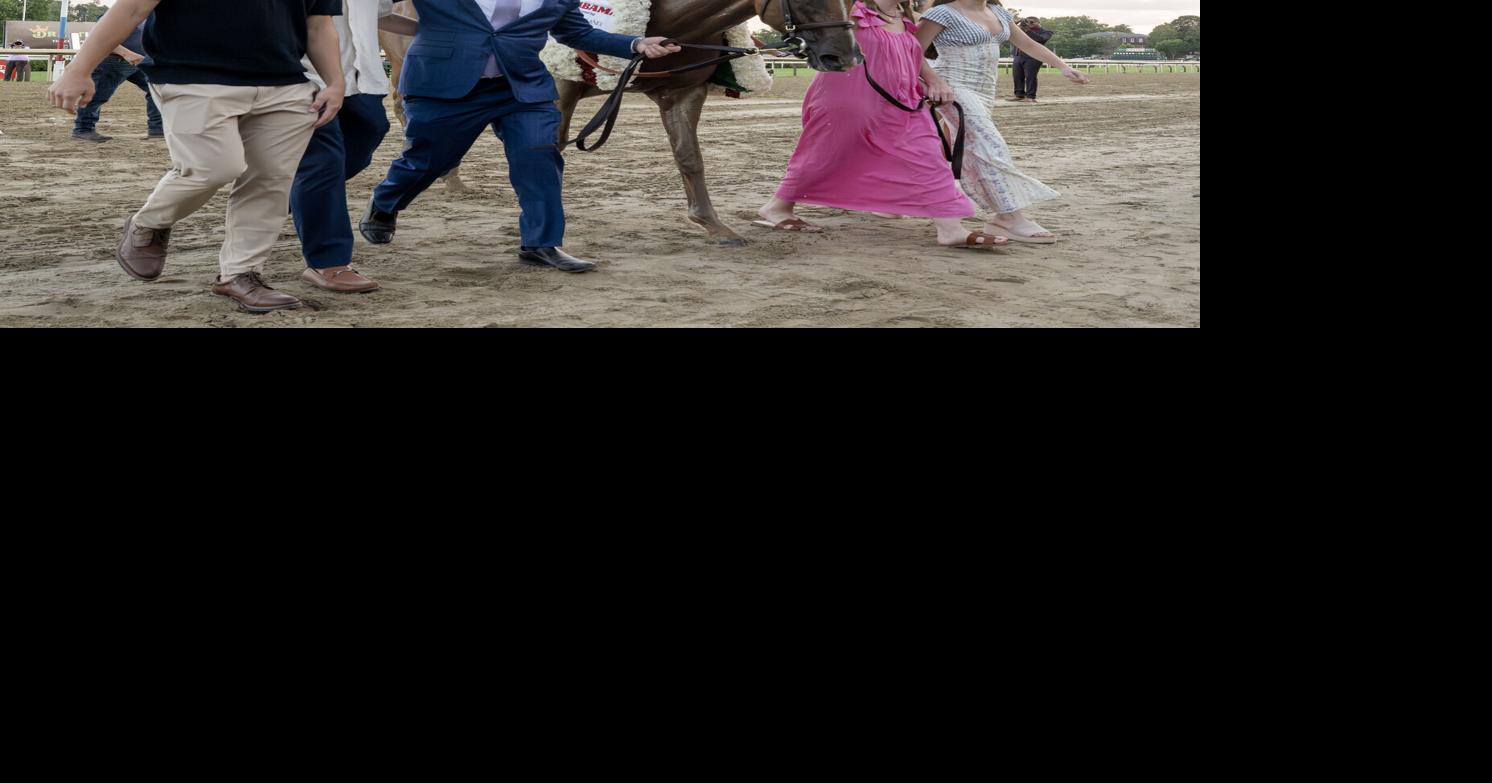 My Gun's Loaded could face older horses in next start