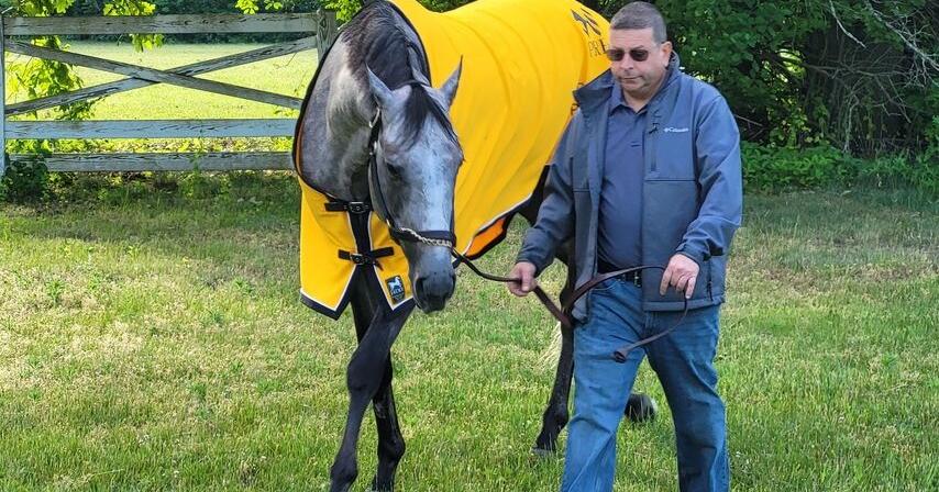 Belmont Stakes at Saratoga: Preakness winner Seize the Grey is on the scene - Vimarsana News