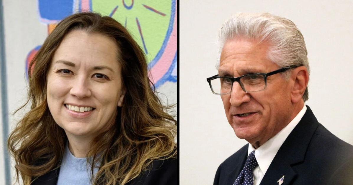 Rogerson selected as national Dem committee target candidate in bid to unseat Tedisco