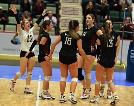 Burnt Hills-Ballston Lake girls' volleyball wins title 11/19/23 | Photo ...