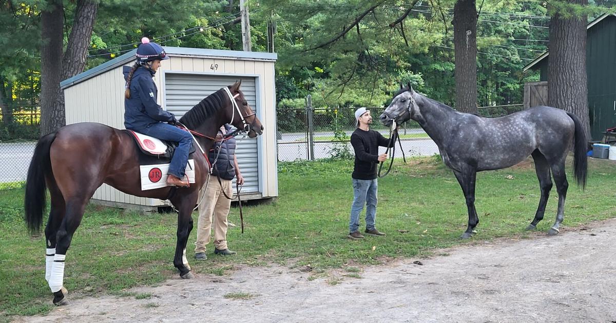 Buttah, Tartah prepared for next big bite at the races