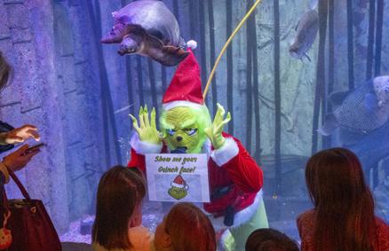 The Grinch makes a splash at Via Aquarium | Life & Arts - Vimarsana News