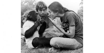 East Chatham resident's book on chimp now a film | | dailygazette.com