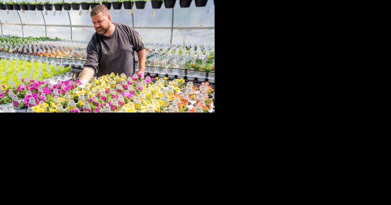 Broadalbin's Beyond Your Garden helps gardeners thrive | Life & Arts - Vimarsana News