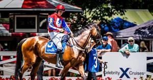 Blue Streaks Horse Racing partnership accused of owing money