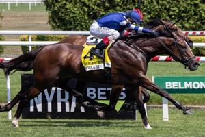 TAG at the Track: In 'American Idol' fashion, Amsterdam native Slezak dares to dream as a breeder