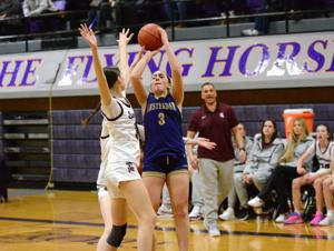 Burnt Hills-Ballston Lake girls' basketball grinds out quarterfinal win over Amsterdam