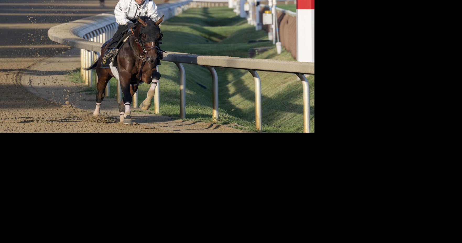 Golden Tempo just goes about his business for Travers