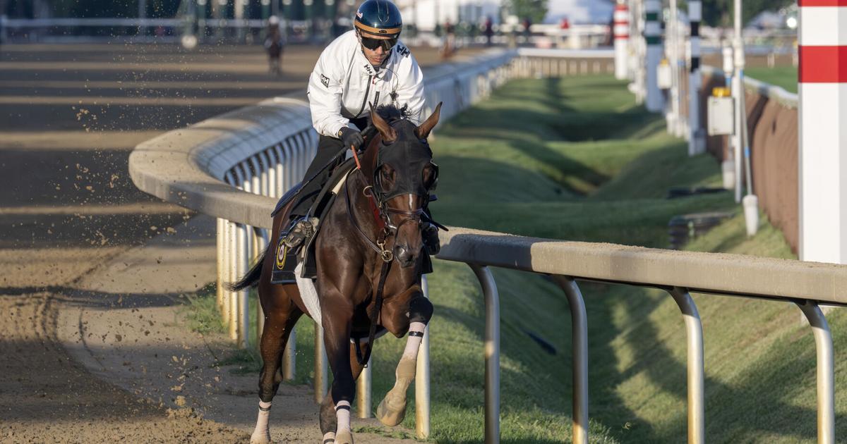 Golden Tempo just goes about his business for Travers