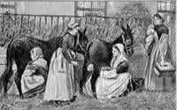 Why goats used to breastfeed human babies | News | dailygazette.com