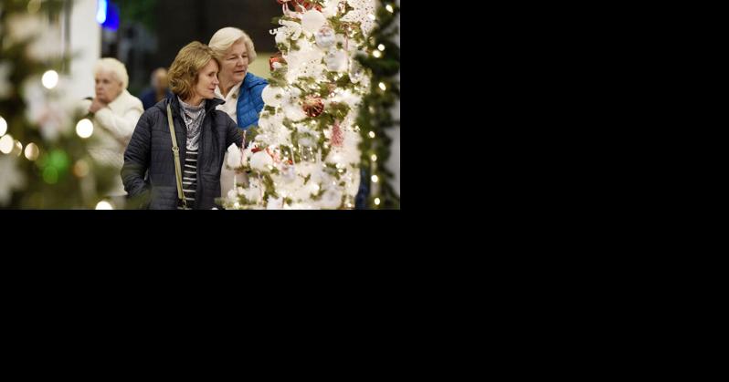 Catholic Charities host 28th Saratoga Festival of Trees | Business - Vimarsana News