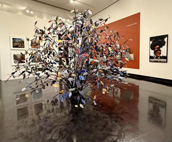Tom Tang Fall 2026 Opening Reception at Tang Teaching Museum | Life & Arts ...
