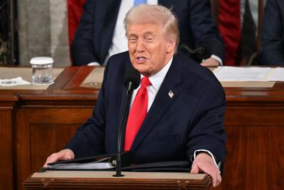 Ilhan Omar's State of the Union guest arrested by Capitol Police during  Trump's speech | Tribune | dailygazette.com