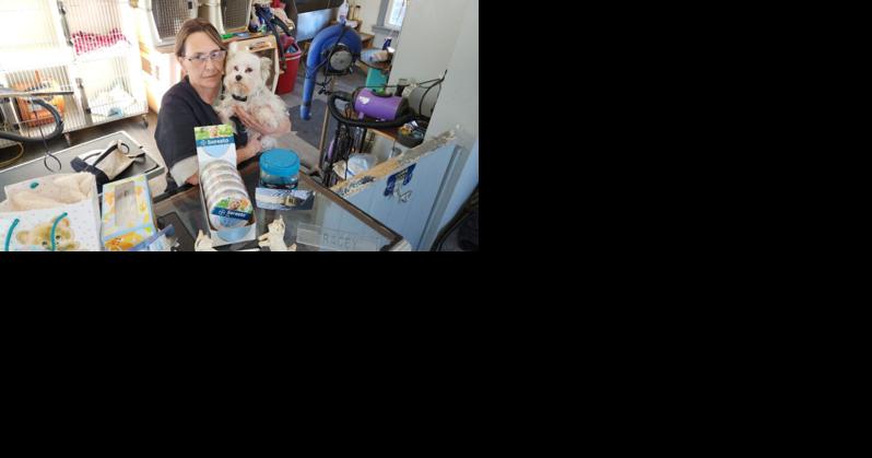 At Perth's TLC Grooming, Tracey Ray takes pride in service | News - Vimarsana News