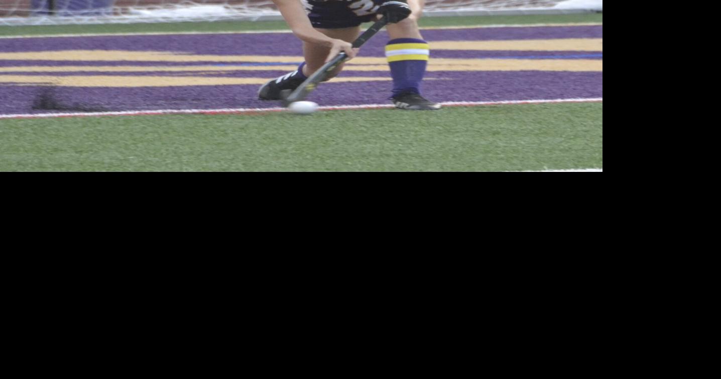 Area field hockey players named all-stars | High School | dailygazette.com