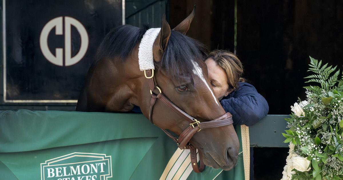 Spa aced 'Test of the Champion' for three Belmont Stakes — A Seat in the Bleachers